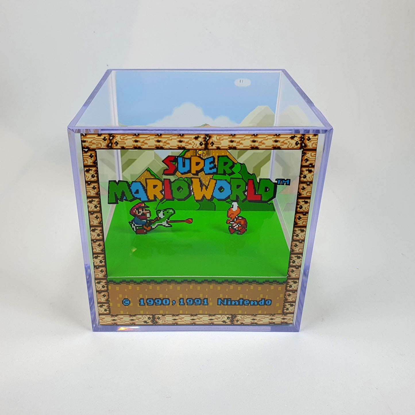 Super Mario World